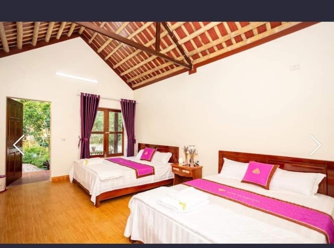 Viet Anh Homestay Ninh Binh Bagian luar foto