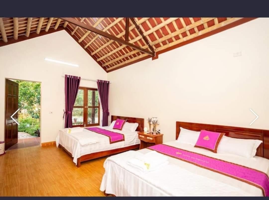 Viet Anh Homestay Ninh Binh Bagian luar foto