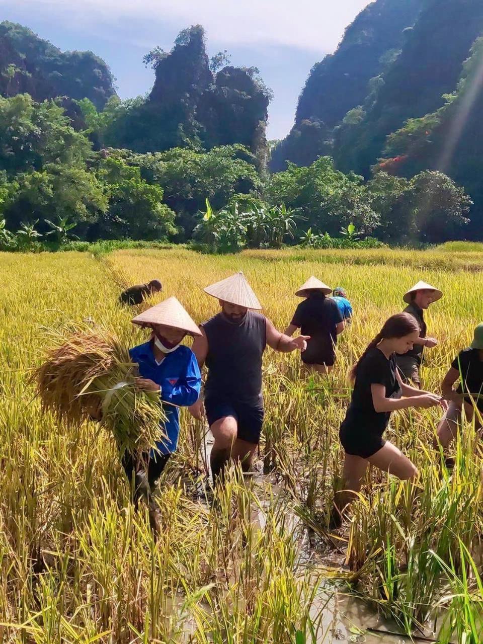 Viet Anh Homestay Ninh Binh Bagian luar foto